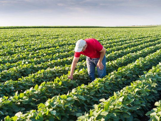  Advierten que el Estado se lleva el 74,6% de la renta agrícola en Argentina
 