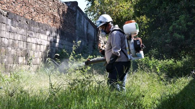  Dengue: activaron un operativo de prevención en la Ciudad
 