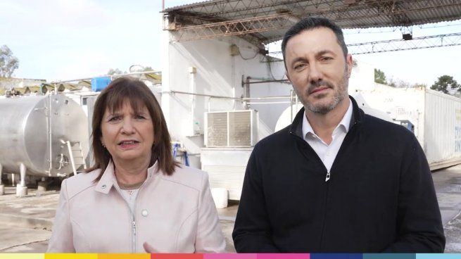  Precandidato a vicepresidente de Patricia Bullrich: 