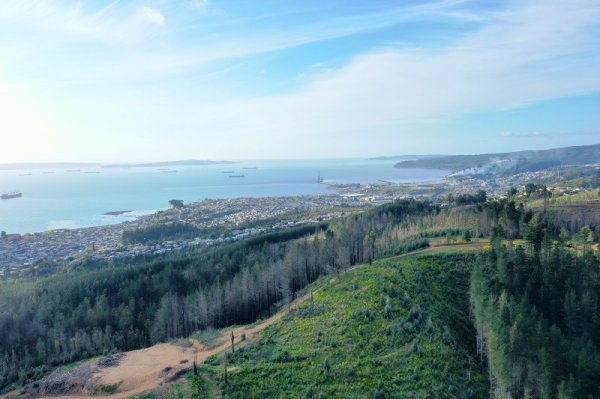 SEA del Biobío pone término anticipado a proyecto de Tierras Raras en Penco