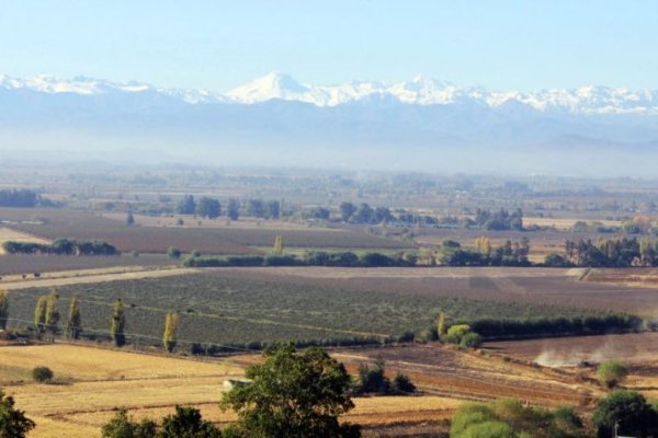 Segundo Tribunal Ambiental anula parcialmente la Resolución de Calificación Ambiental de planta productora de proteína en Teno