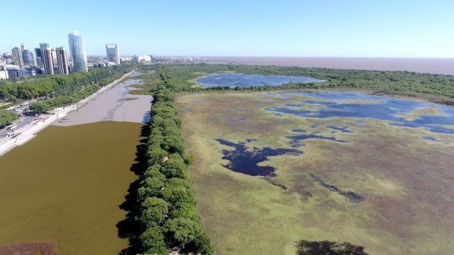  Estudiantes de la UBA marcharán en contra de reformas en la Reserva Ecológica
 