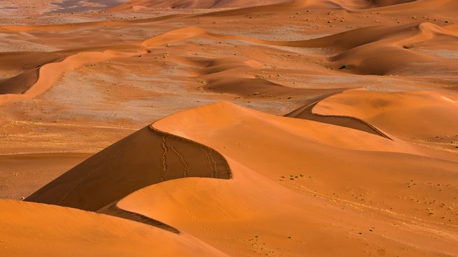  Alertan que un peligroso polvo africano invade América
 