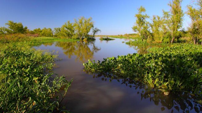  Nace un Parque Nacional con valor histórico y cerca de CABA: dónde se ubica
 