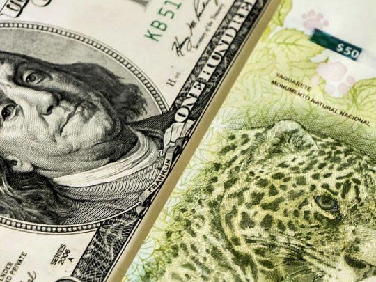  El dólar blue anotó su mayor suba diaria en un mes y por primera vez quebró la barrera de los $500
 