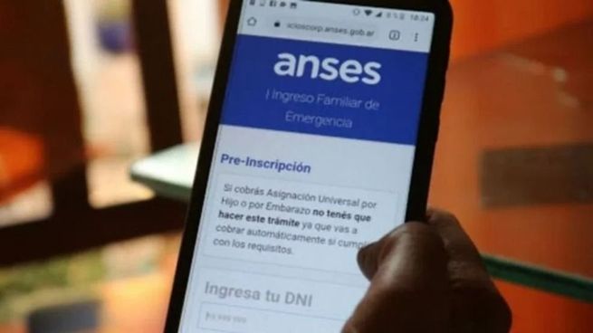  Cómo sacar turno en ANSES
 