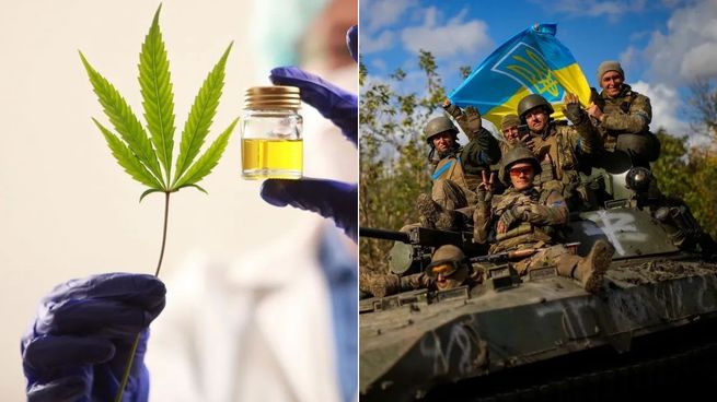  Ucrania busca legalizar el cannabis medicinal para exmilitares por los traumas de la guerra con Rusia
 