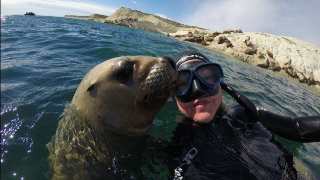  Vacaciones de invierno en Puerto Madryn: ballenas, gastronomía y aventura
 