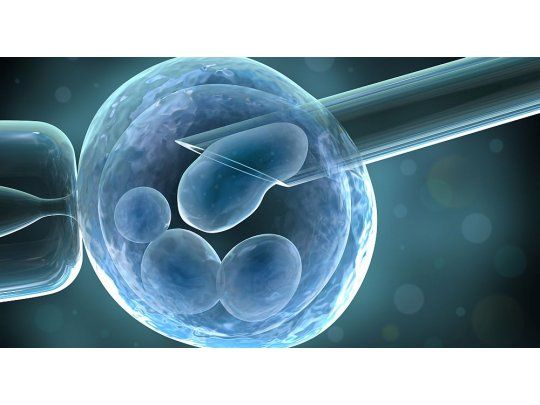  De qué se tratan los estudios genéticos preconcepcionales en tratamientos de fertilidad
 