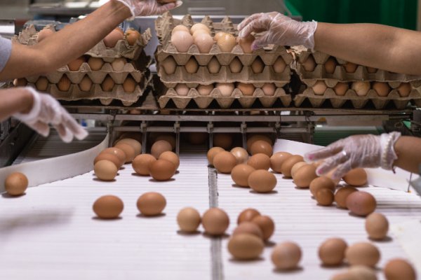 Canasta Básica de Alimentos: el huevo fue el producto que más aumentó su precio en junio