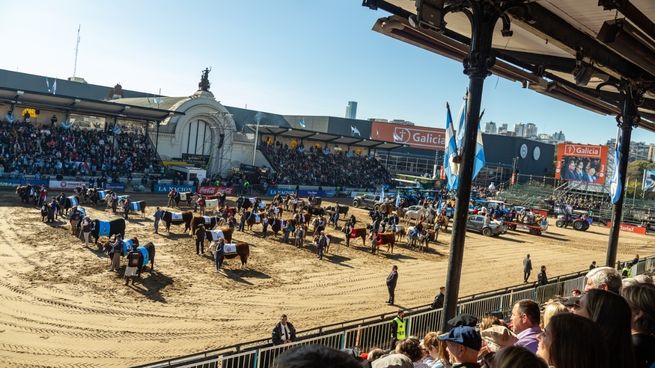  Comenzó la Expo Rural 2023: fechas, precios y actividades en Palermo
 