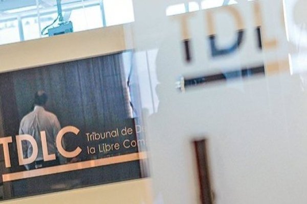 TDLC da luz verde al análisis de una posible ley para regular los conglomerados empresariales