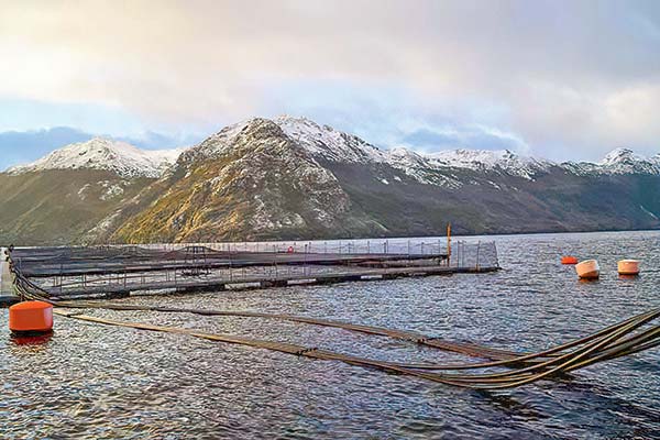 Pesquera noruega Nova Austral presenta recurso de apelación contra fallo de tribunal que decretó su quiebra