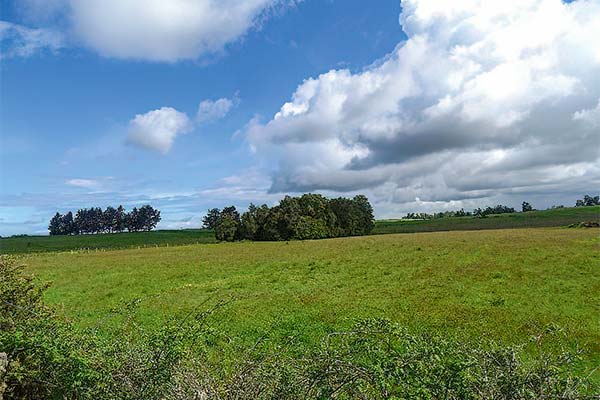 SMA inició procedimientos de requerimientos de ingreso al SEIA contra ocho titulares de proyectos inmobiliarios en Los Lagos