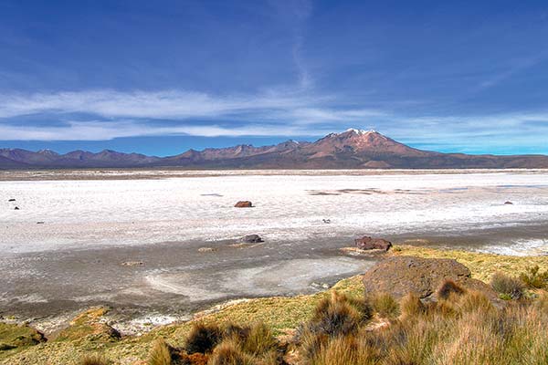 Quibórax manifiesta interés por salares de Ascotán y Surire y grupo Errázuriz y Lithium Chile por Coipasa