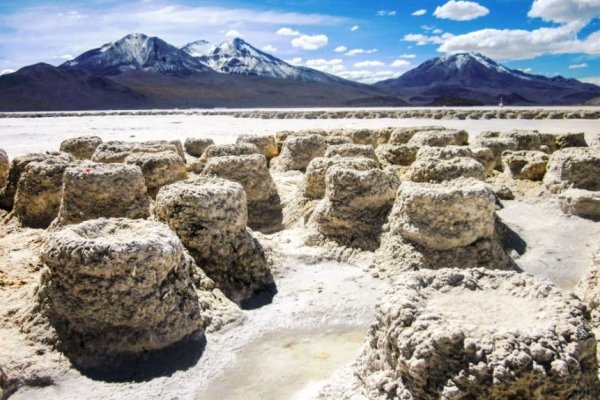 Primer Tribunal Ambiental admite a trámite y analizará demanda del CDE contra Quiborax por daño ambiental en el Salar de Surire