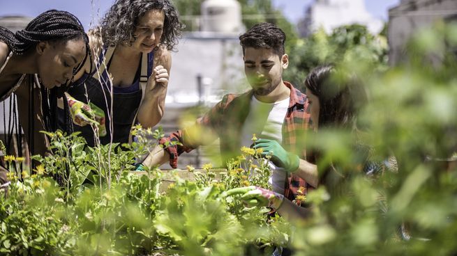  Desconfianza de los consumidores con respecto a la conciencia ambiental de las empresas
 