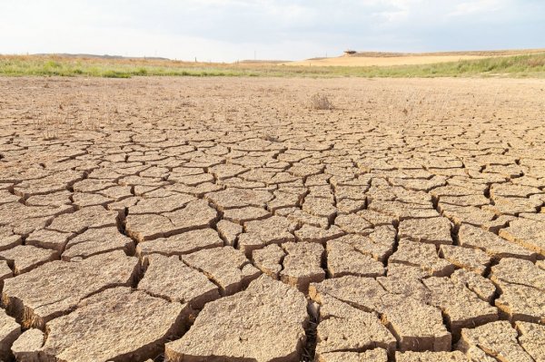 Naciones Unidas publica este lunes un nuevo documento político sobre crisis climática