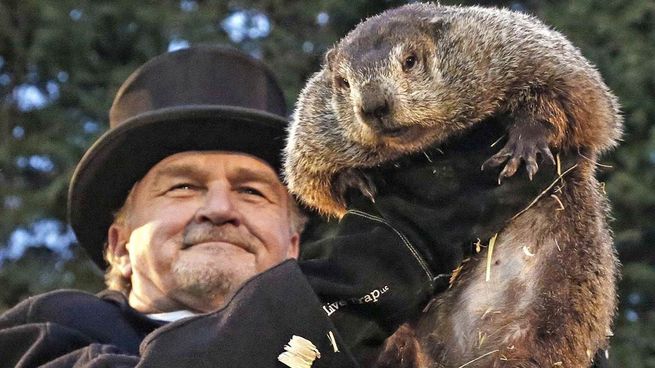  La economía de la marmota
 