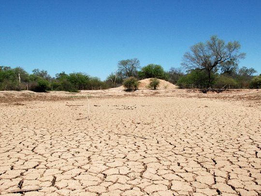  El saldo de la seca resulta peor al esperado
 