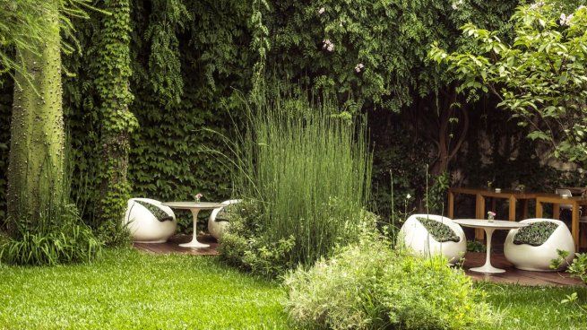  Oasis en medio de la Ciudad: 5 jardines ocultos en Palermo que ofrecen la mejor gastronomía
 