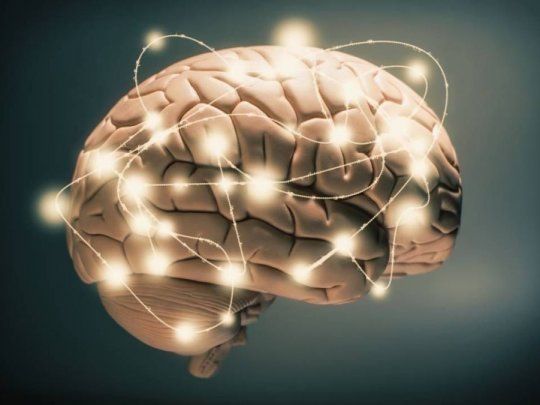  Cerebro: este alimento favorece la memoria y disminuye la ansiedad
 