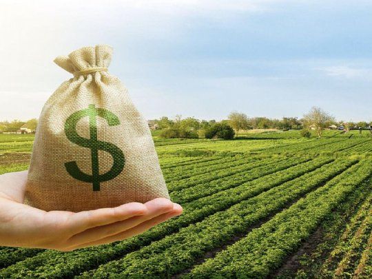  Dólar agro: autorizan nueva prórroga para exportadores que ya estaban en el esquema anterior
 