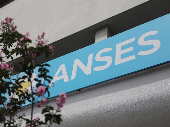  ANSES: los programas con los que podés cobrar $80.342 por 6 meses
 