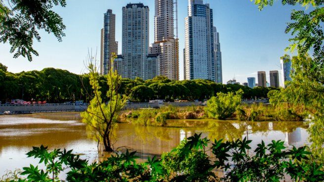  Ambientalistas denuncian al gobierno porteño por talar árboles en la Reserva Ecológica
 